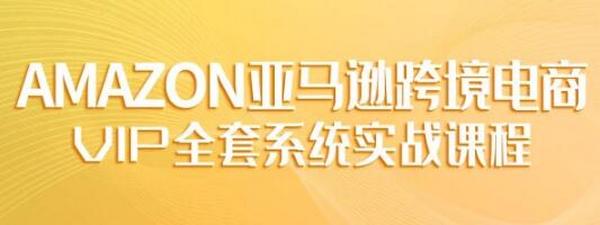 跨境电商VIP实操课程