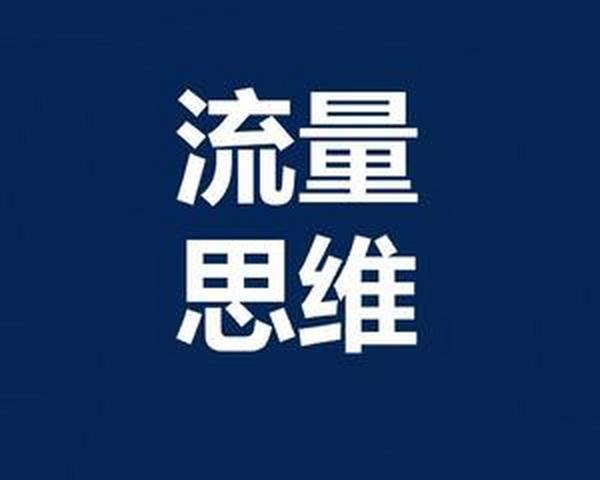 蚊子团队:流量思维,一套教程提升你的引流技术 高手版