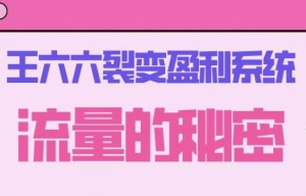 王六六裂变盈利系统课程