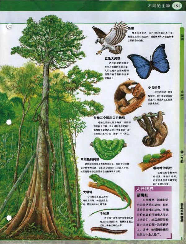 《家庭趣味图解百科丛书》全球销售16亿册,堪称”世界上销量最大的科普书”PDF