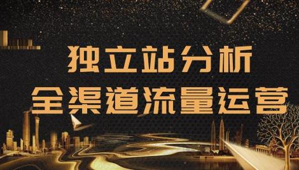 2020跨境电商未来出路：独立站精细化流量运营，手把手教你分析一个网站