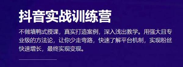 新片场抖音实战训练营:0基础快速上手玩转抖音,快手涨粉,实现变现