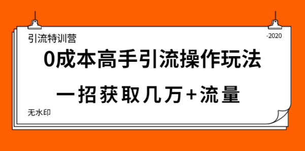 引流特训营：0成本高手引流操作玩法，一招获取几万+流量（5节视频课)无水印