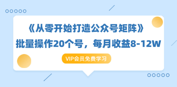 《从零开始打造公众号矩阵》批量操作20个号,每月收益大概8-12W(44节课)