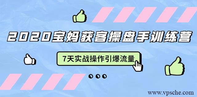 2020宝妈获客操盘手训练营:7天实战操作引流宝妈粉,引爆宝妈流量