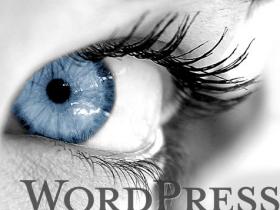 WordPress移除Google字体方法 (https://www.wpzt.net/) WordPress基础教程 第1张