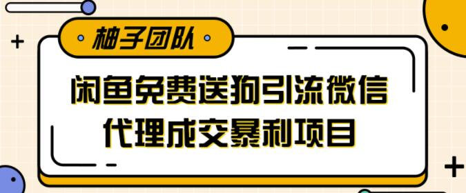 利用闲鱼免费送暴力吸粉，引流到微信代理成交暴利项目【视频课程】