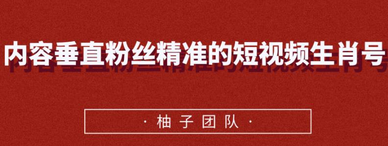 内容垂直粉丝精准的短视频生肖号,小众领域简单操作月入10000+【视频课程】