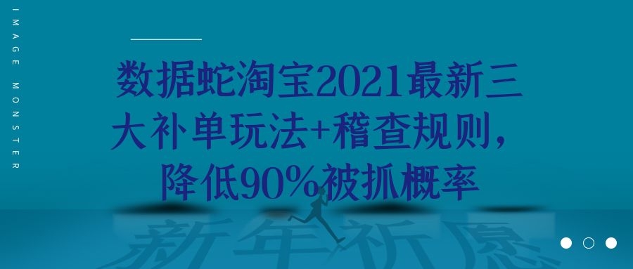 数据蛇淘宝2021最新三大补单玩法 稽查规则,降低90%被抓概率