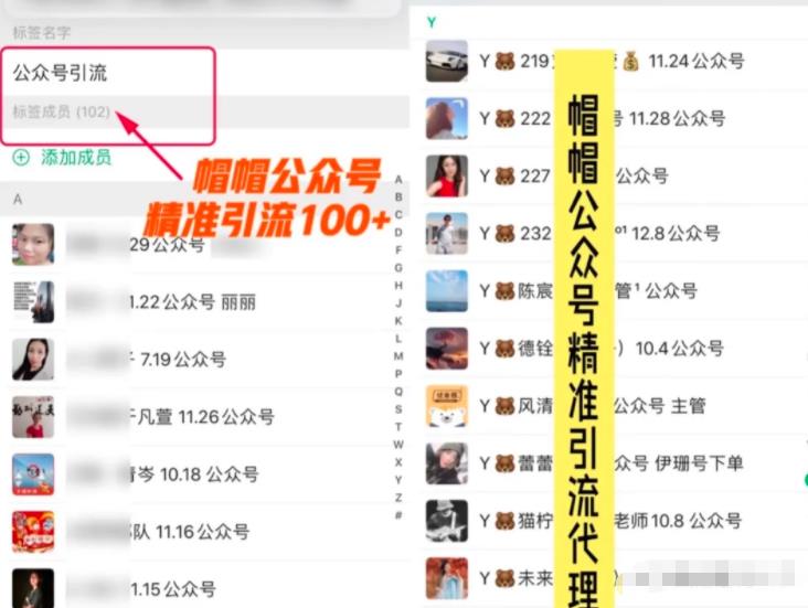 7天玩转微信公众号被动引流系统,日引100+精准流量【视频课程】