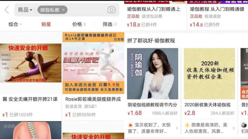 一个简单赚钱项目，多收益渠道的小众副业