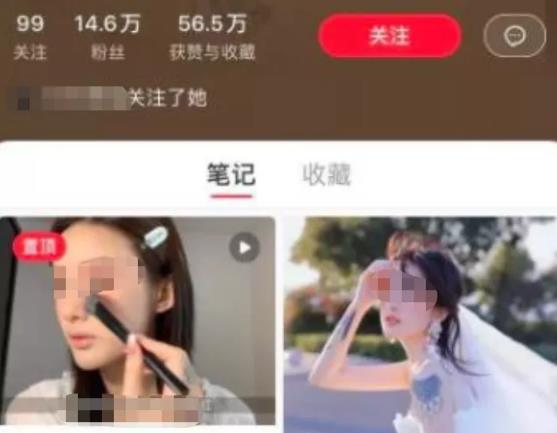 一个简单赚钱项目，自媒体派单月入过万