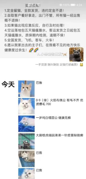 吸粉方法：截流思维和相关项目讲解