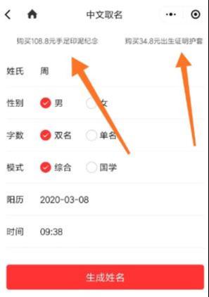 一个年赚100万+的正规项目,给人取名了解下