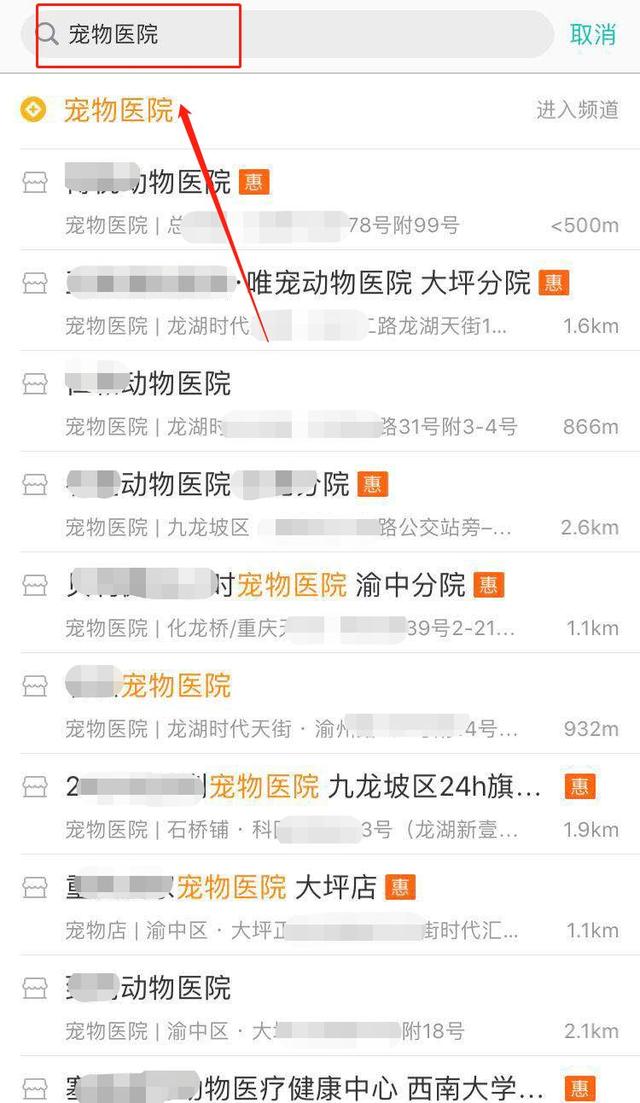 教你出售训狗教程来变现，也能有高收益！