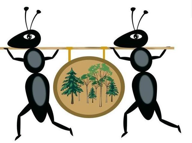 分享一个可操作性强，可拓展其他项目的互联网项目