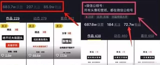 被大众忽略的冷门暴利项目，日入五百