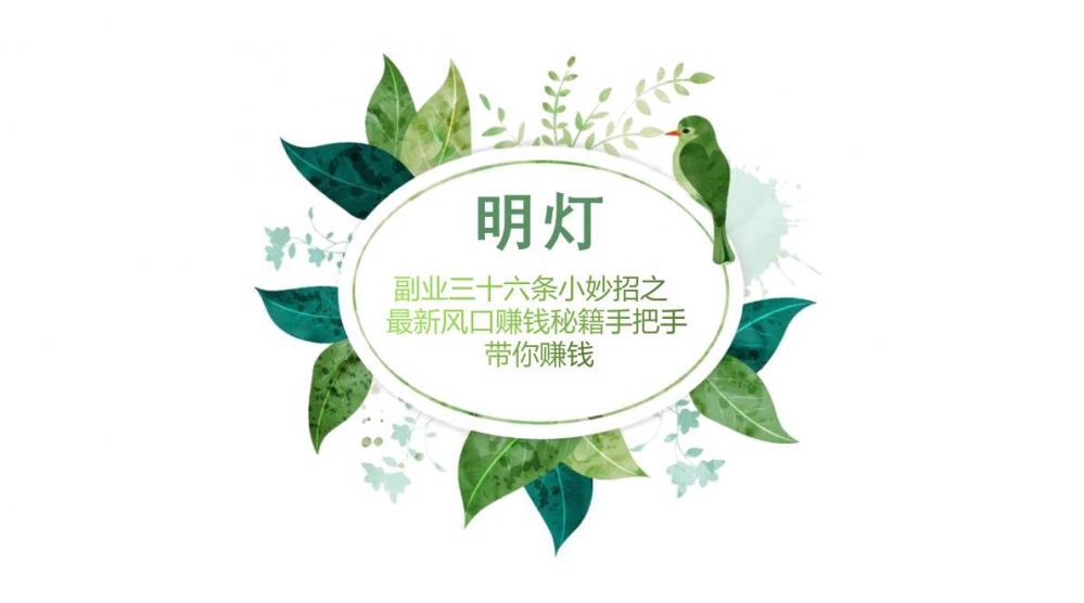 明灯副业三十六条小妙招之第六招最新风口赚钱秘籍手把手带你赚钱