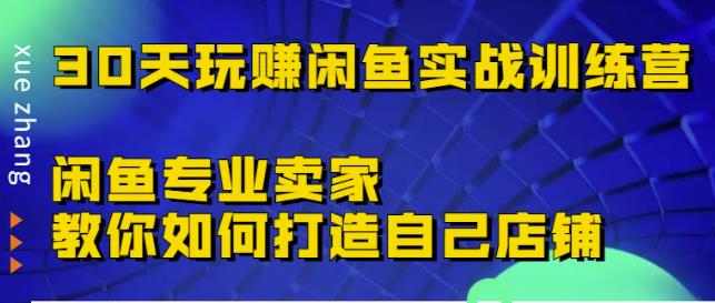 30天玩赚闲鱼实战训练营,闲鱼专业卖家教你如何打造自己店铺