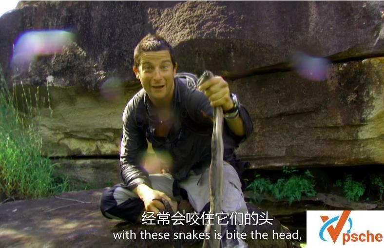 [电视剧]美国高分纪录片《荒野求生》全1-7季百度云