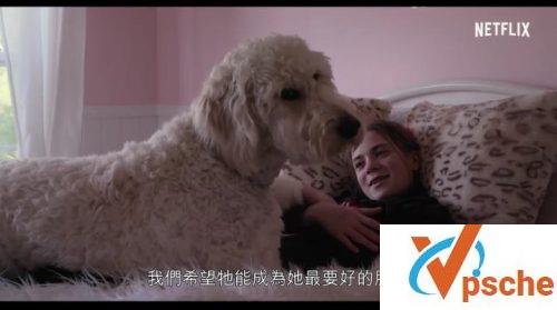 爱犬情深