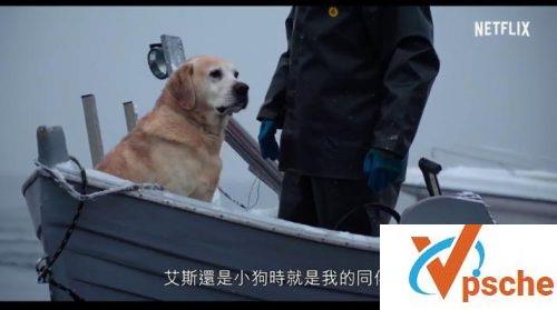 爱犬情深