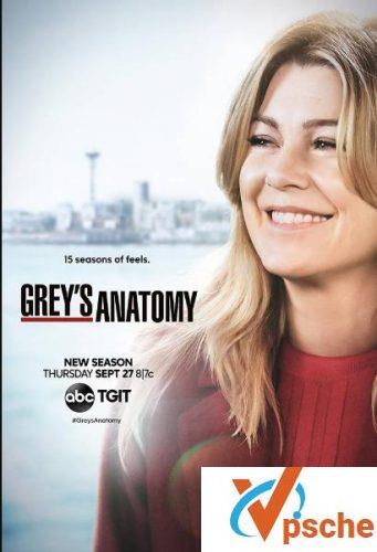 实习医生格蕾第十五季