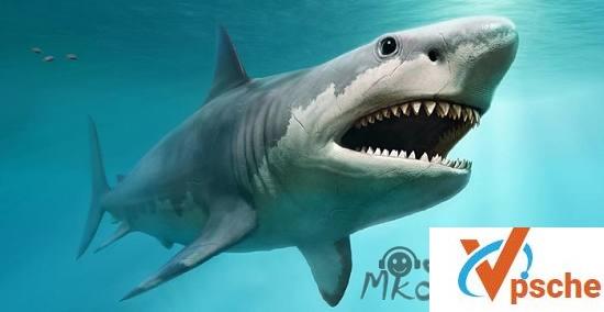 [电影专辑]《大白鲨》4部惊悚电影合集 高清英语中字[MKV/17GB]百度云下载