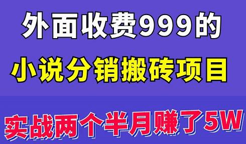 外面收费999的小说分销搬砖项目:实战两个半月赚了5W块,操作简单