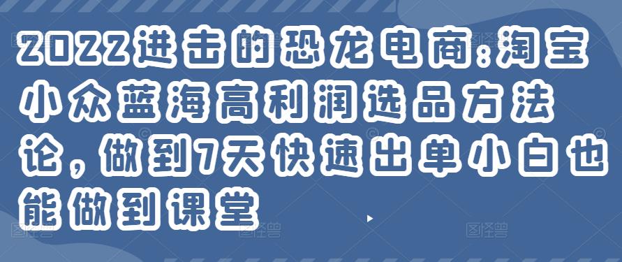 2022进击的恐龙电商:淘宝小众蓝海高利润选品方法论,做到7天快速出单小白也能做到