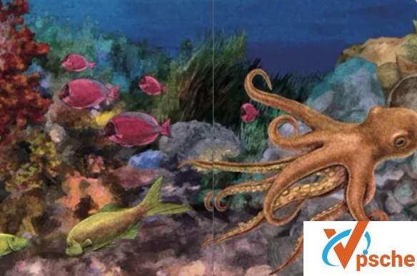 [有声读物]《海洋探秘双语百科》中英语音频加视频故事[MP3/MP4/175MB]百度云下载