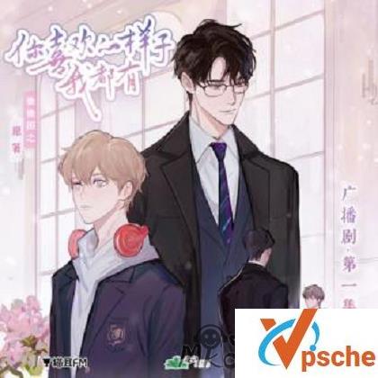 [有声读物]《你喜欢的样子我都有》广播剧音频合集[MP3/1.05GB]百度云下载