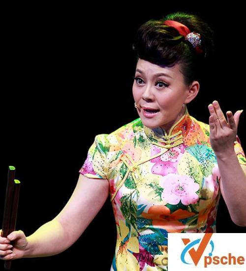 [有声读物]坠子经典唱段合集754个视频+1001个音频[MP4/MP3/114GB]百度云下载