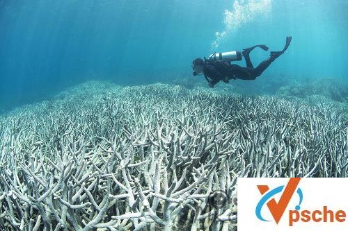 [纪录片]《大堡礁》高清英语中字幕视频百度云下载