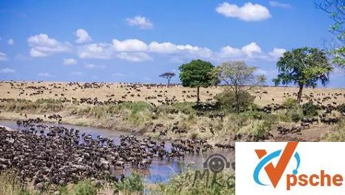 [纪录片]《非洲－世界上最壮丽的景象》英语中字百度云下载