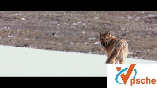 藏北秘岭-重返无人区