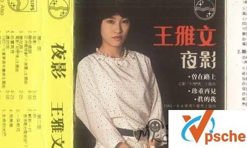 [发烧专辑]王雅文无损音乐精选12首合集[WAV/431MB]百度云下载