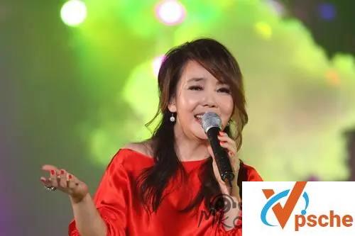 [发烧专辑]辛晓琪无损音乐精选13首合集[WAV/566MB]百度云下载