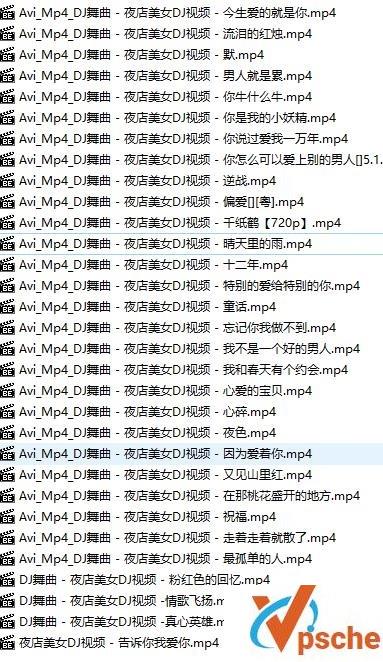 夜店美女DJ视频