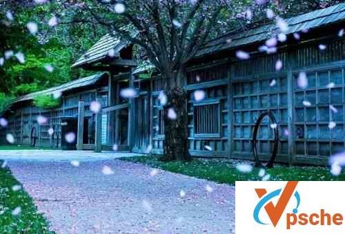 [MP3下载]邓岳章《飞花》[FLAC/MP3/22.3M]百度云下载