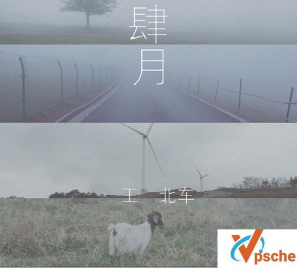 王北车专辑