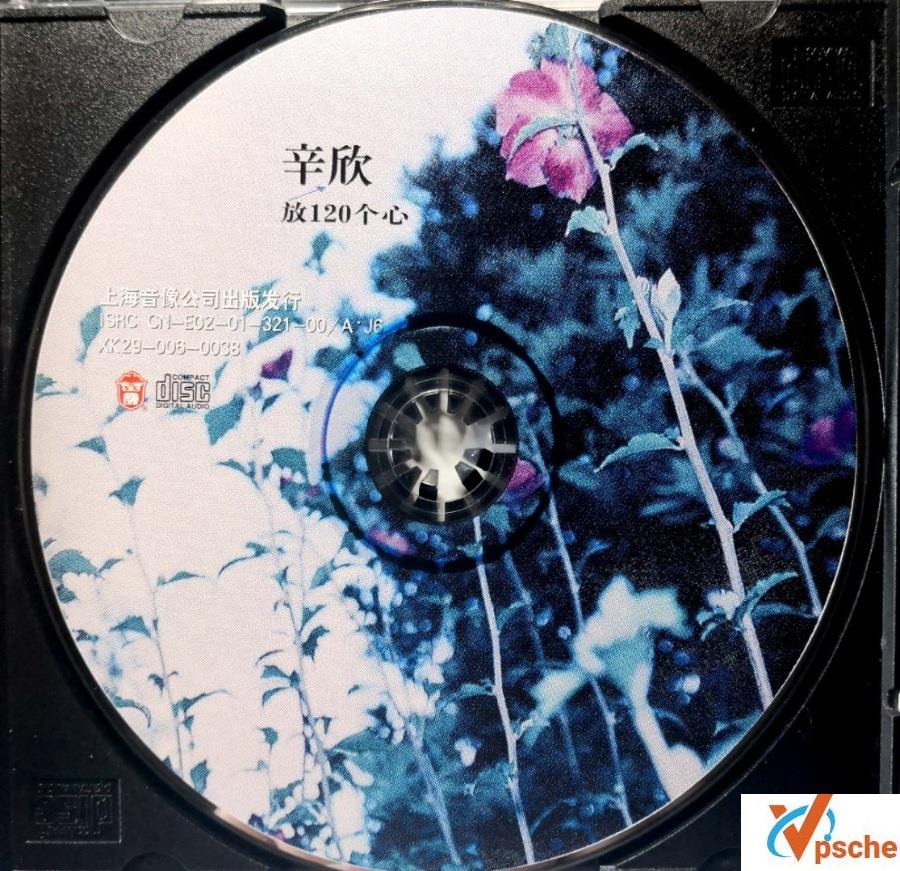 辛欣《放120个心》320K MP3百度云下载