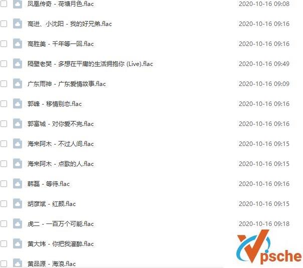 [无损音乐]经典华语歌曲合集《一人一首成名曲》135首无损FLAC版下载