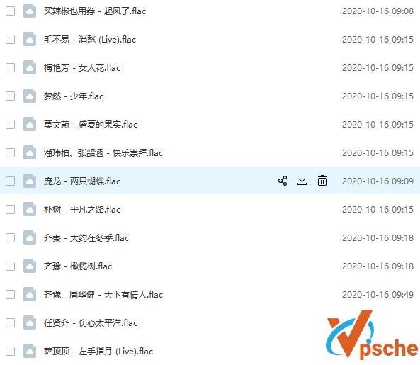 [无损音乐]经典华语歌曲合集《一人一首成名曲》135首无损FLAC版下载