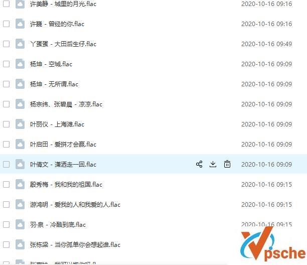 [无损音乐]经典华语歌曲合集《一人一首成名曲》135首无损FLAC版下载