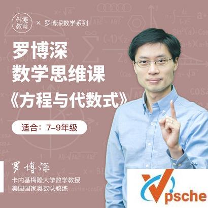 [教程资源]罗博深《方程与代数》数学思维课[MP4/2.2GB]百度云下载