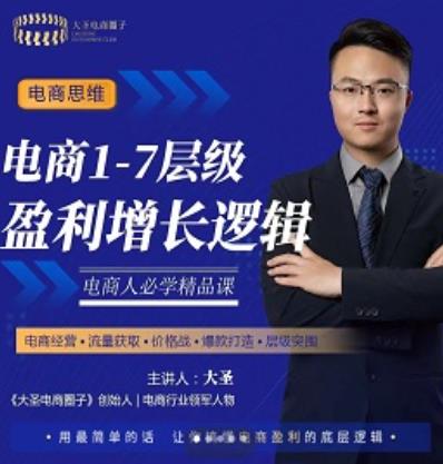 大圣:电商1-7层级盈利增长底层逻辑课(线上视频课),用简单的话,让你掌握电商盈利的底层逻辑