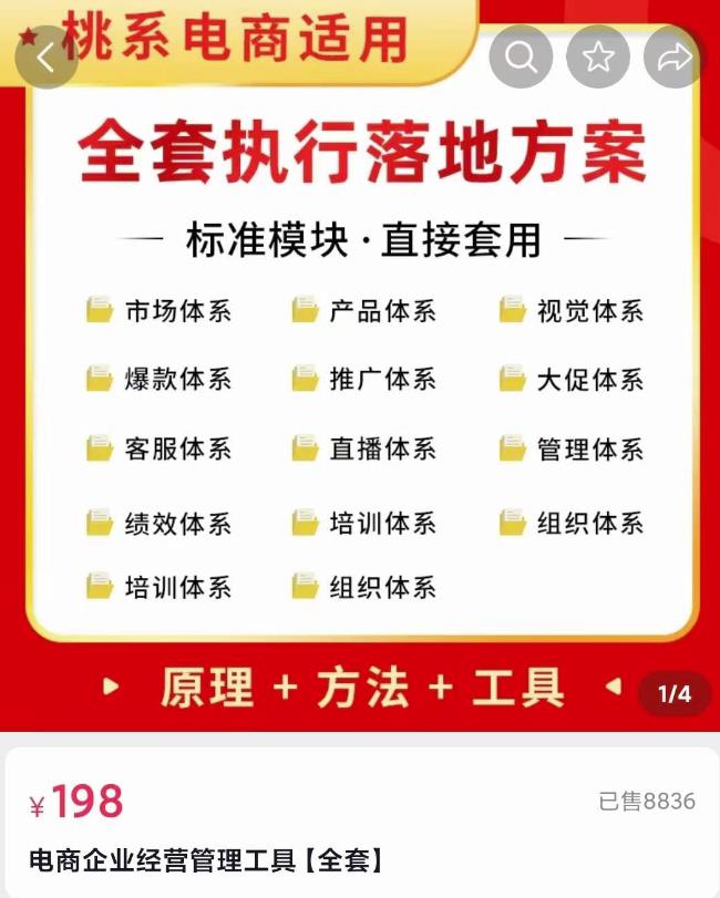 外面卖198·电商企业经营管理工具:全套执行落地方案标准模块·直接套用