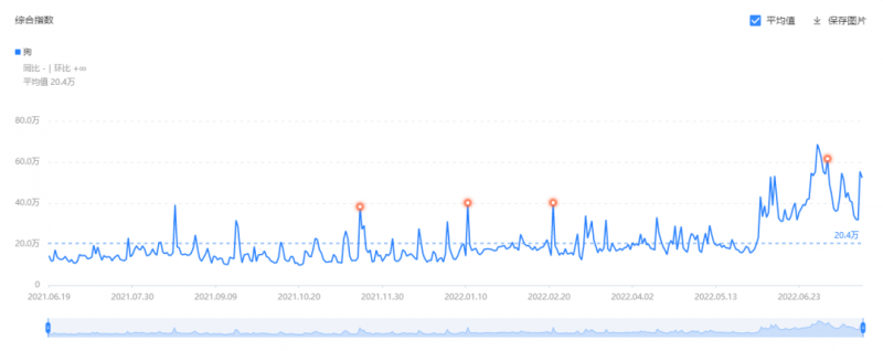 低成本宠物项目思路,单天300-500副业收入,适合所有人放大操作!