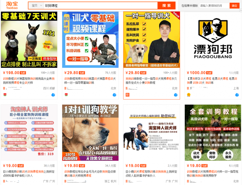 低成本宠物项目思路,单天300-500副业收入,适合所有人放大操作!